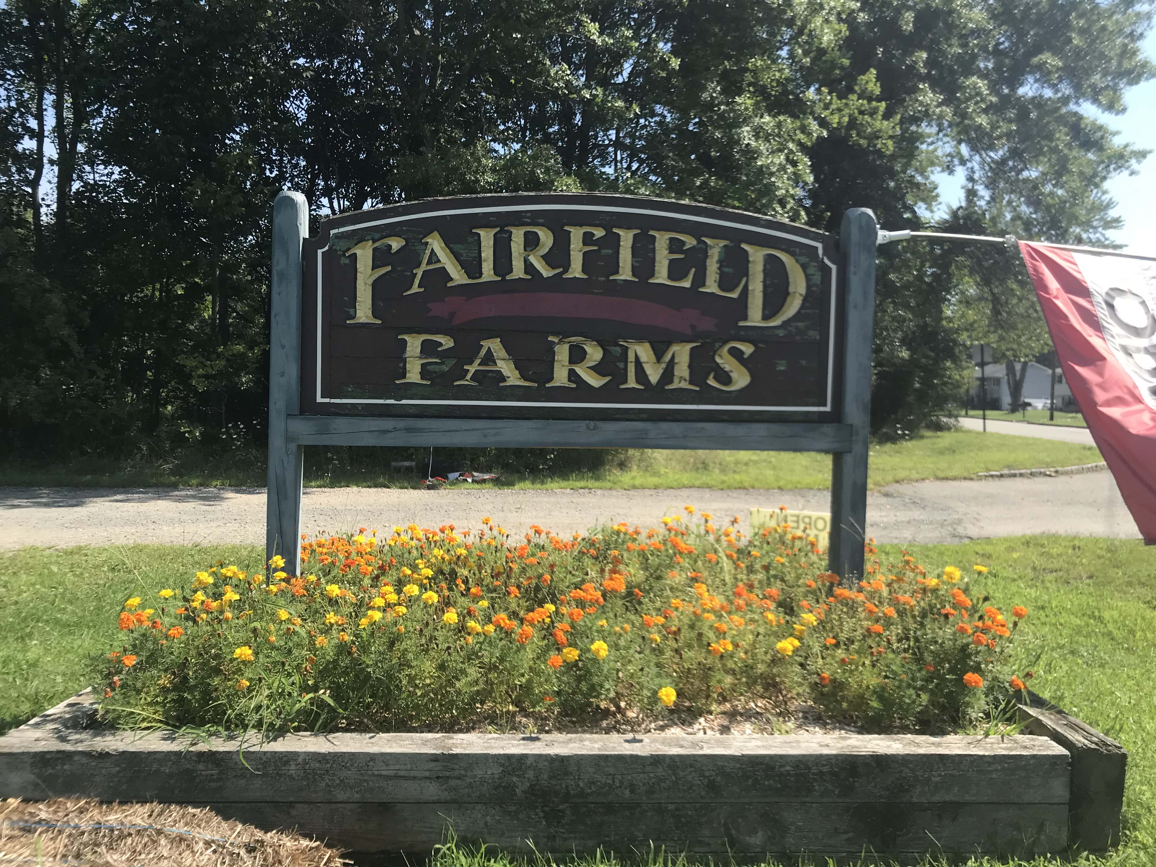 Colorful containers.