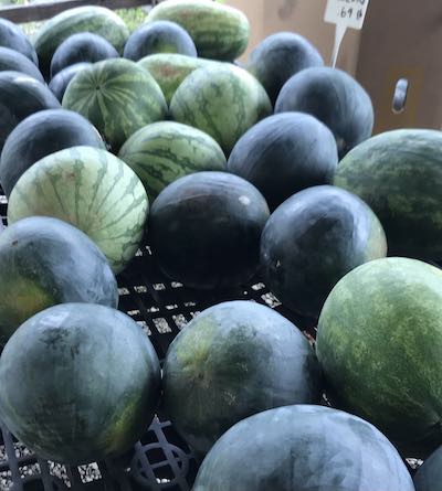 melons