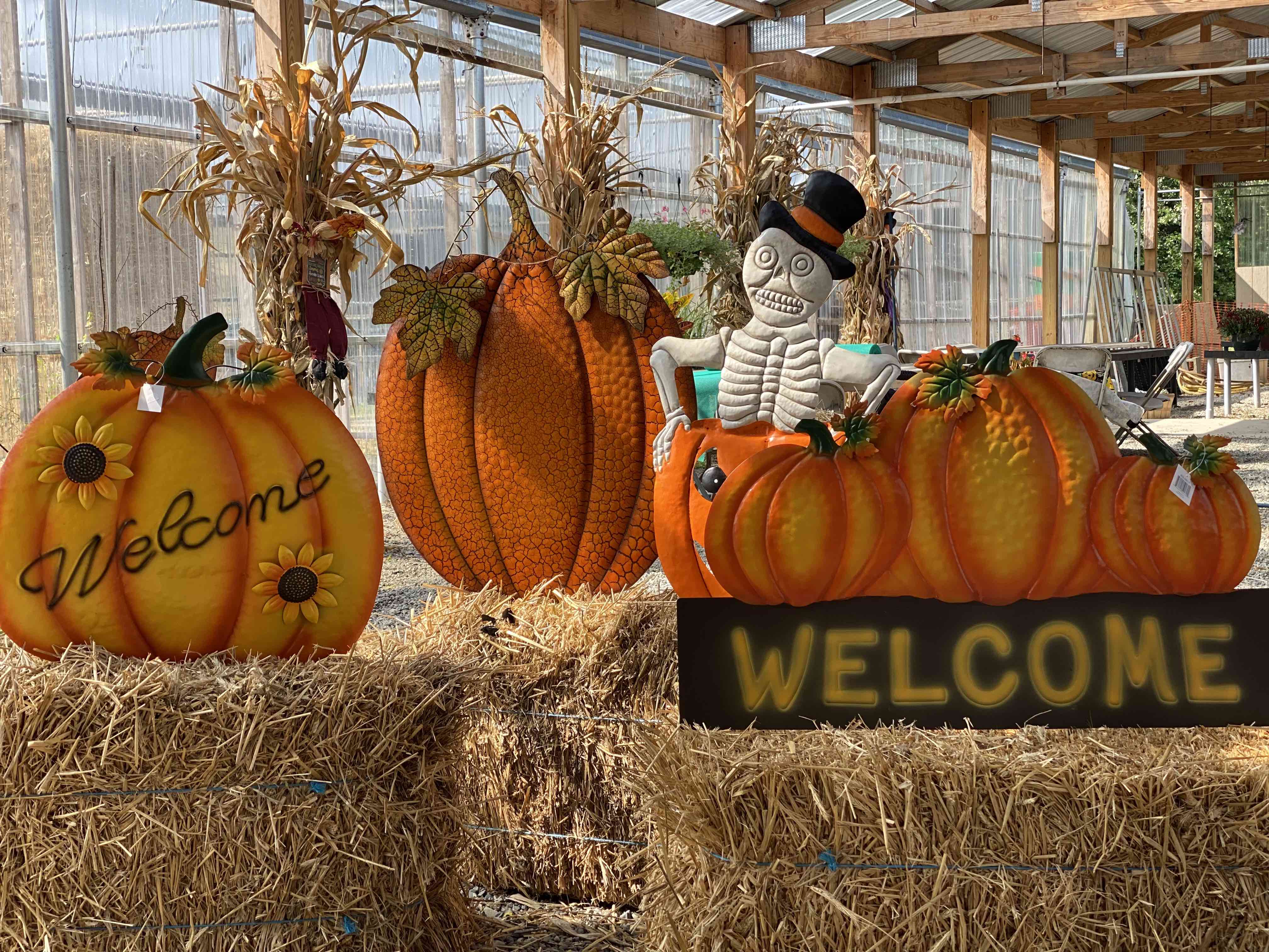 Fall decorative items!